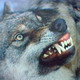 Uživatelský avatar