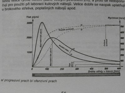 P1010489.jpg