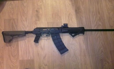 saiga 001.jpg