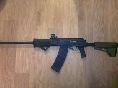 saiga 002.jpg