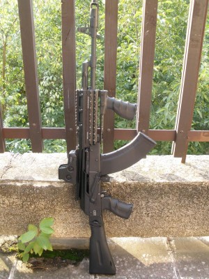 saiga1.JPG