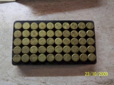 Short 006.jpg