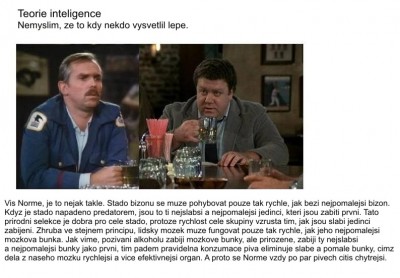 4939_teorie_inteligence.jpg