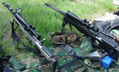 223 rem vs. 308 win.jpg