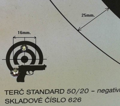 300m 223vs 308.jpg