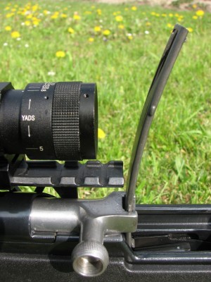 IMG_6515_1.jpg