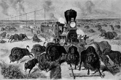 pacifická železnice inzerovala úžasné možnosti lovu-mohli jste zabíjet bizony bez opuštění vagónu.jpg
