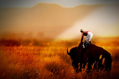 bison ride on behance.jpg