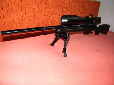 067zal1.jpg
