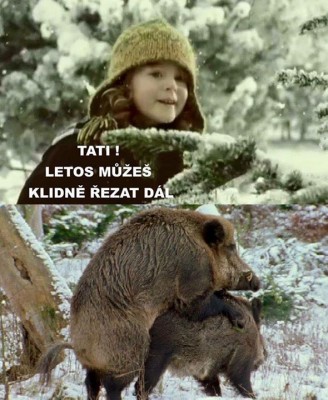 smrcek.jpg