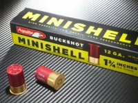 minishell1~02.jpg