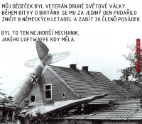 luftwaffe.jpg