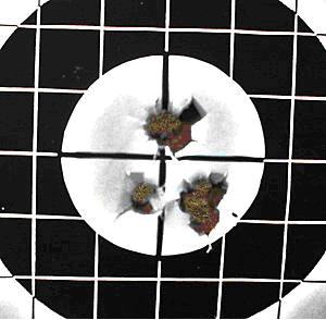 50 yard target.JPG
