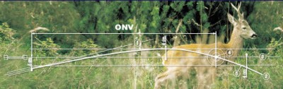 onv.jpg