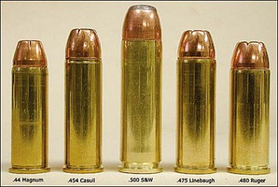 sw500-ammo.jpg