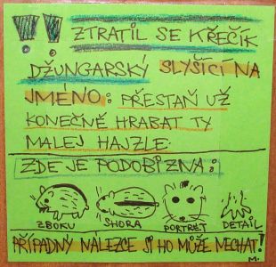 Obrázek