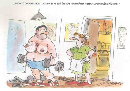 Obrázek